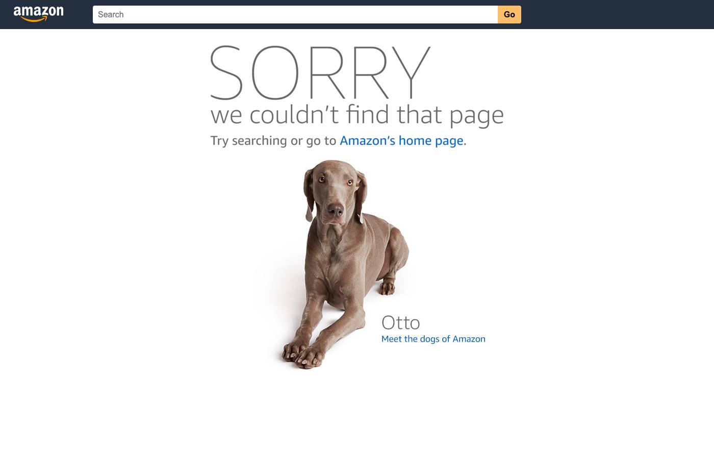 Amazon screenshot